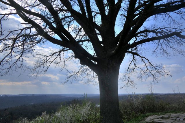 p1060576hdr lookk.jpg